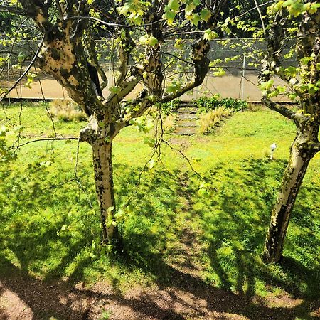 Villa Castel Maison-Table D'Hotes & Jardin-Refuge De Biodiversite Rillieux-la-Pape ภายนอก รูปภาพ