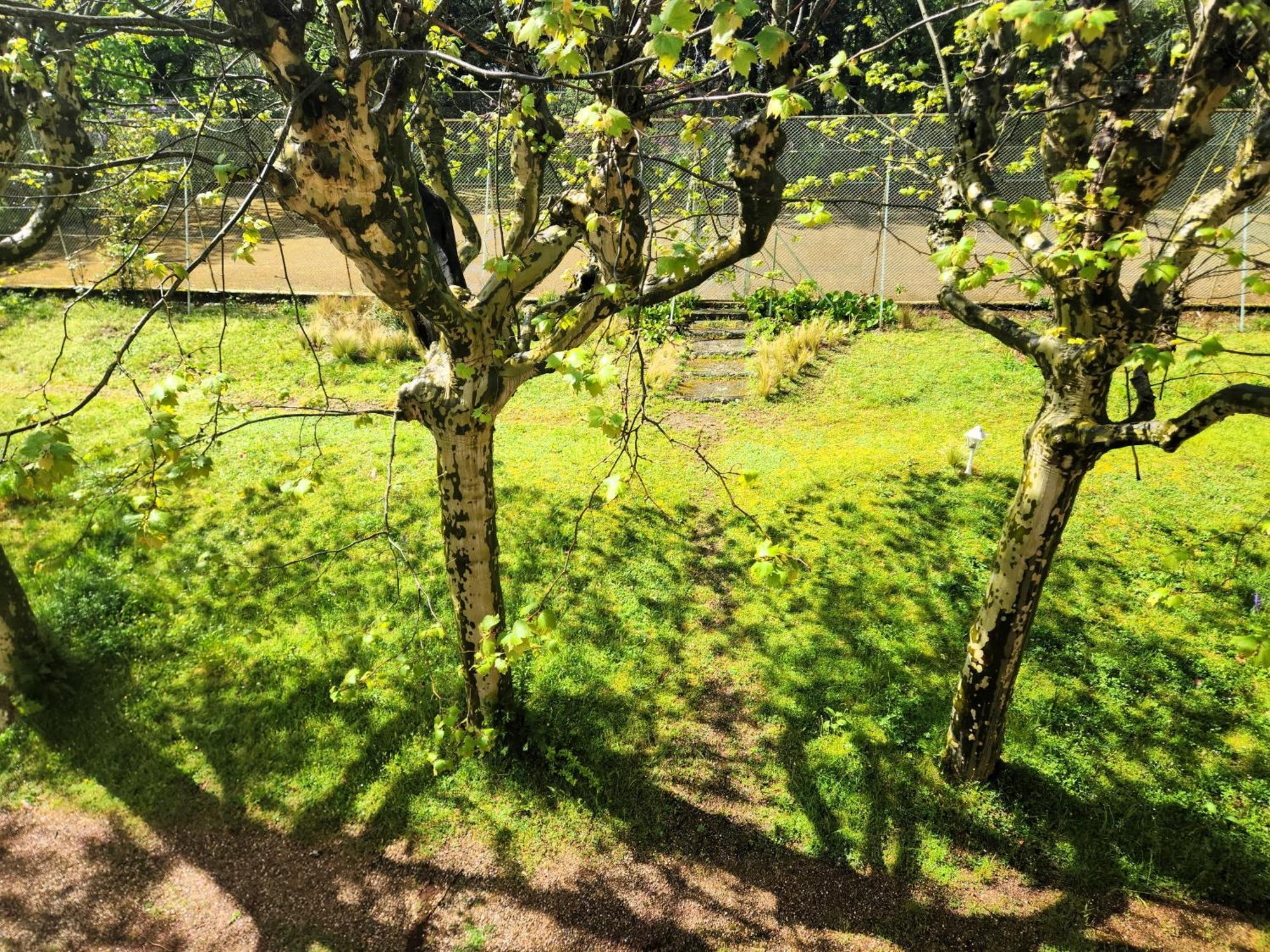 Villa Castel Maison-Table D'Hotes & Jardin-Refuge De Biodiversite Rillieux-la-Pape ภายนอก รูปภาพ