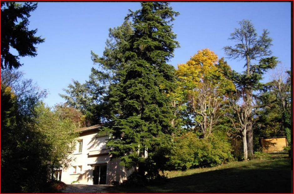 Villa Castel Maison-Table D'Hotes & Jardin-Refuge De Biodiversite Rillieux-la-Pape ภายนอก รูปภาพ